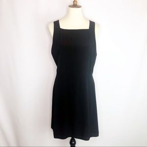 Wilfred Aritzia Sleeveless Cocktail Dress